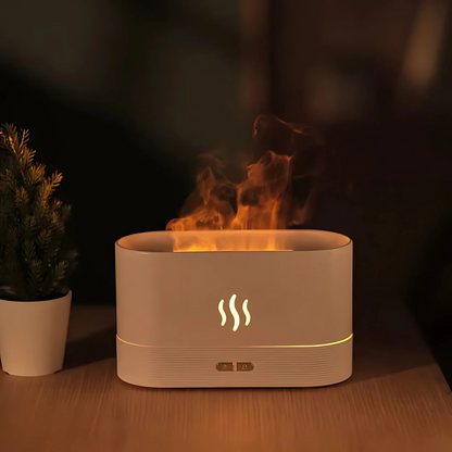 Mist Humidifier And Diffuser